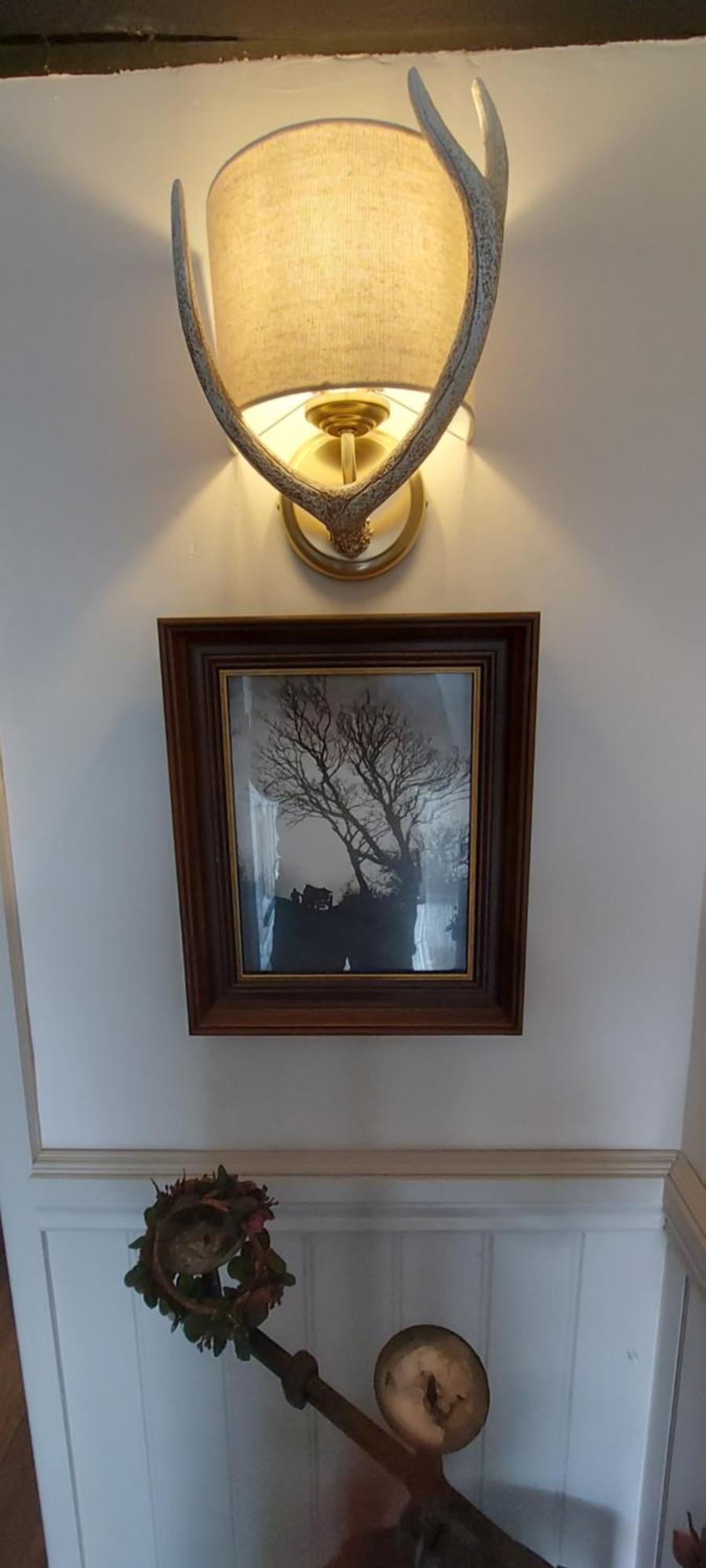 Glyn Isa Country House B&B And Self Catering Apartments Conwy Buitenkant foto