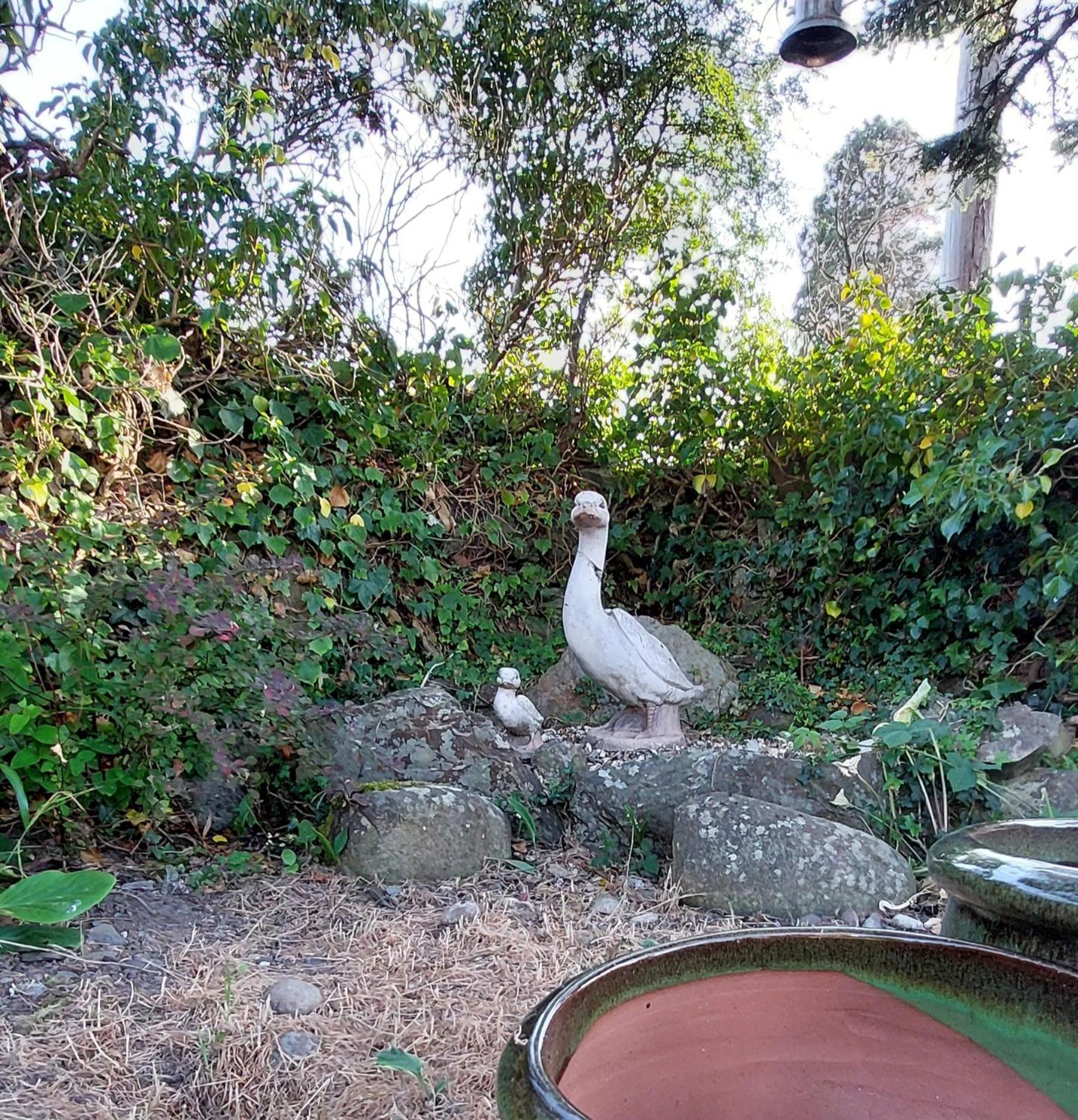 Glyn Isa Country House B&B And Self Catering Apartments Conwy Buitenkant foto